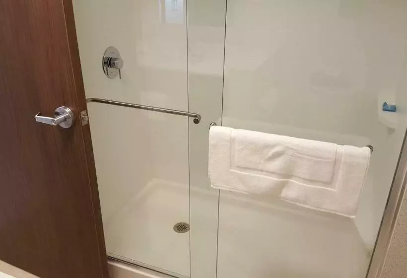 キングサイズベッドのスーペリアルーム, Holiday Inn Express & Suites Oswego, An Ihg