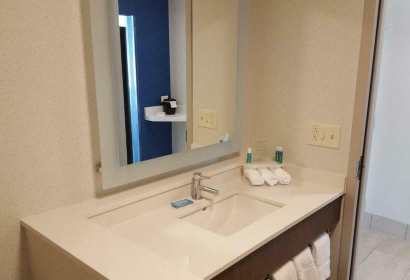 חדר סטנדרט, Holiday Inn Express & Suites Oswego, An Ihg