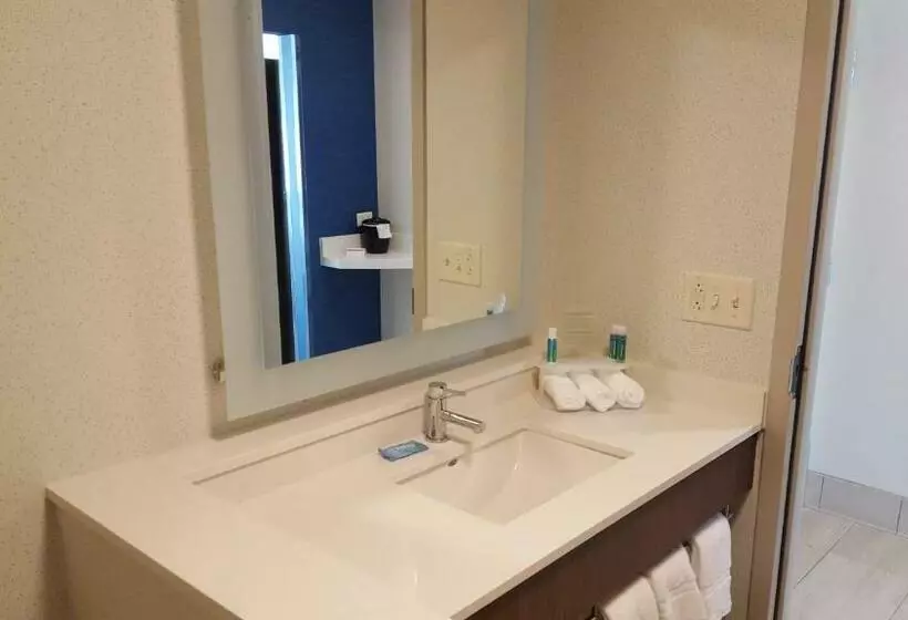 スタンダードルーム, Holiday Inn Express & Suites Oswego, An Ihg