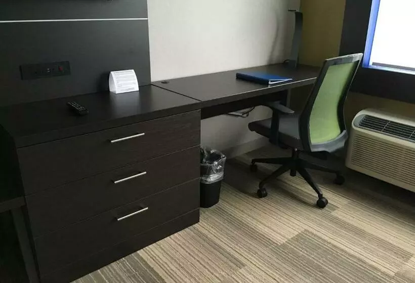 キングサイズベッドのスーペリアルーム, Holiday Inn Express & Suites Oswego, An Ihg