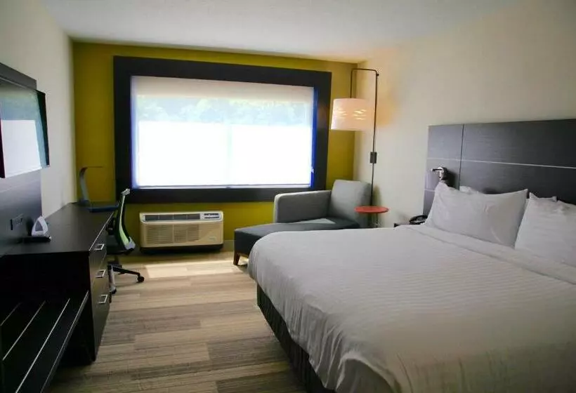 キングサイズベッドのスーペリアルーム, Holiday Inn Express & Suites Oswego, An Ihg