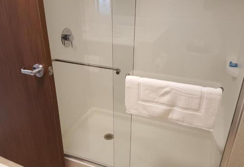 Люкс, Holiday Inn Express & Suites Oswego, An Ihg