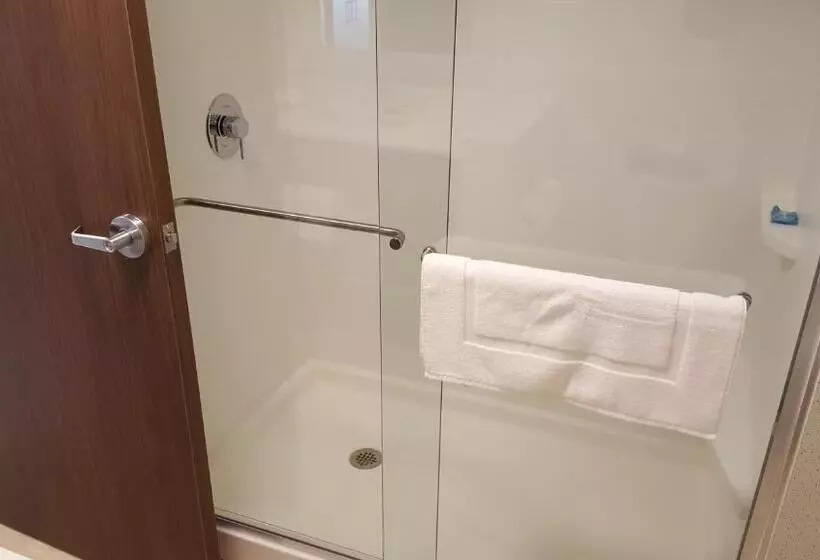 スイート, Holiday Inn Express & Suites Oswego, An Ihg