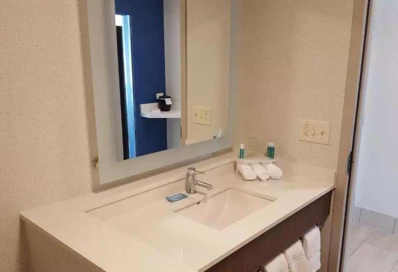 スイート, Holiday Inn Express & Suites Oswego, An Ihg
