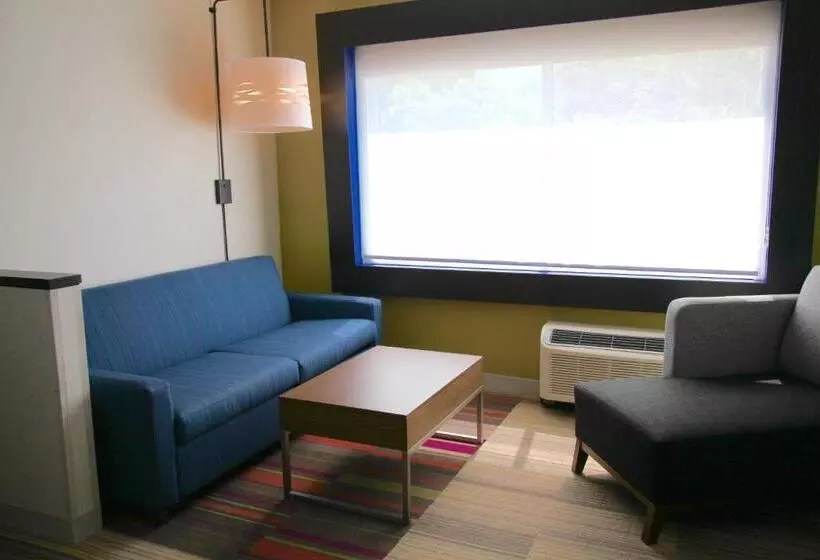 キングサイズベッドのスイートルーム, Holiday Inn Express & Suites Oswego, An Ihg