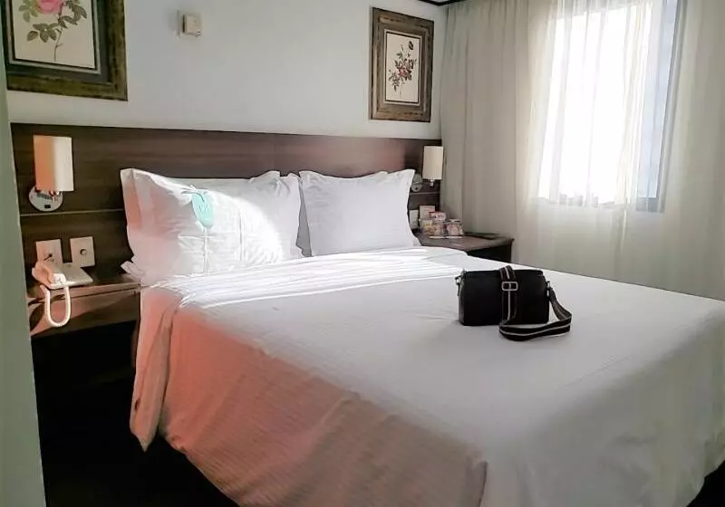 身障者適用キングサイズベッドルーム, Holiday Inn Mishawaka, An Ihg