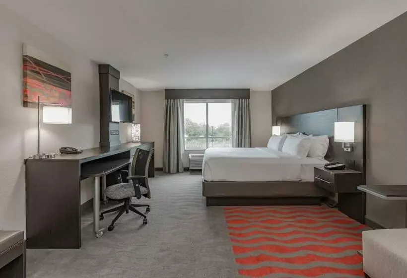 身障者適用キングサイズベッドルーム, Holiday Inn Mishawaka, An Ihg