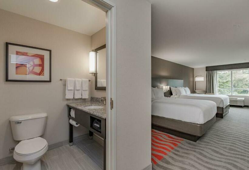 غرفة قياسية سرير كينج لذوى الإحتياجات الخاصة, Holiday Inn Mishawaka, An Ihg