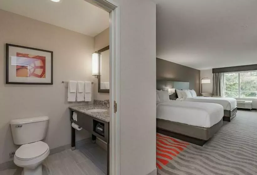 身障者適用キングサイズベッドルーム, Holiday Inn Mishawaka, An Ihg