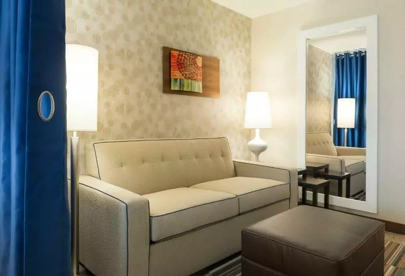 Deluxe Suite King Bed, Home2 Suites By Hilton Milwaukee Airport