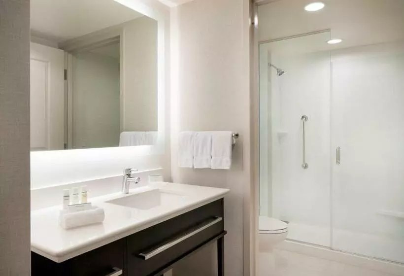 Standard-studio, Homewood Suites By Hilton Aliso Viejo Laguna Beach