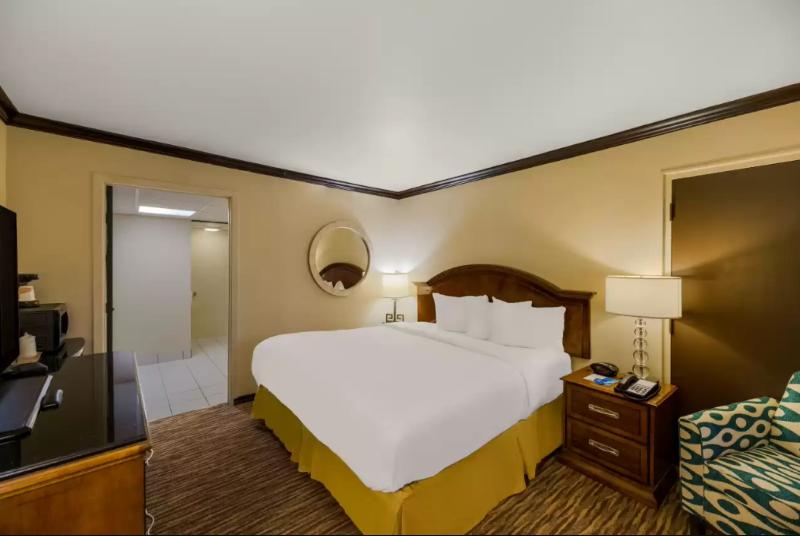 غرفة قياسية سرير كينج, Rodeway Inn