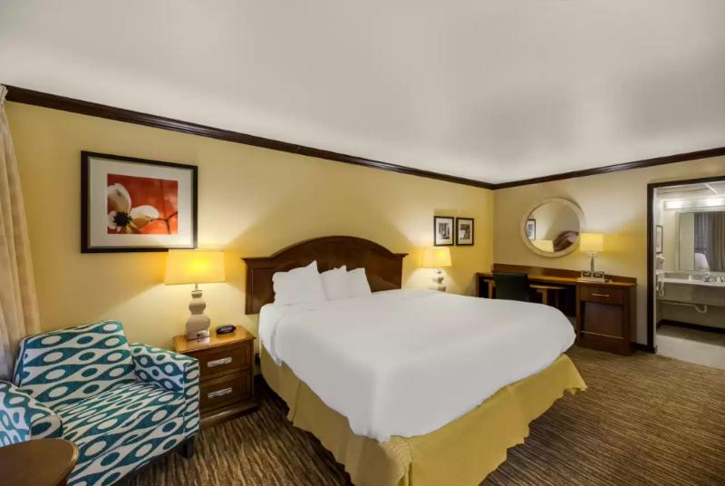 غرفة قياسية سرير كينج, Rodeway Inn