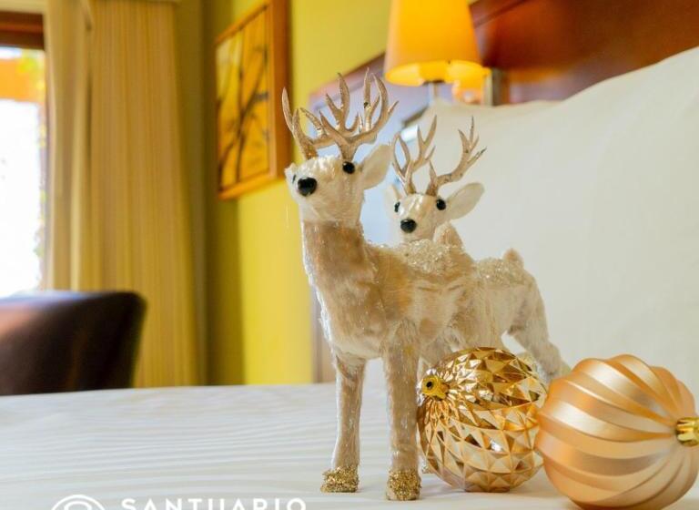 高级大房间, Santuario Diegueno