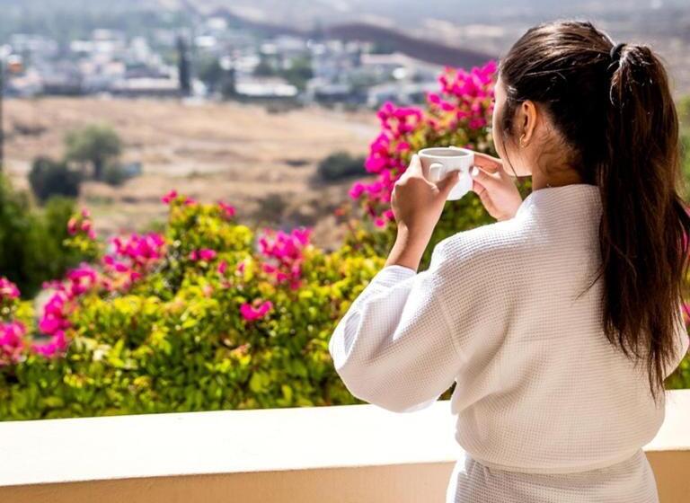 标准单人间, Santuario Diegueno