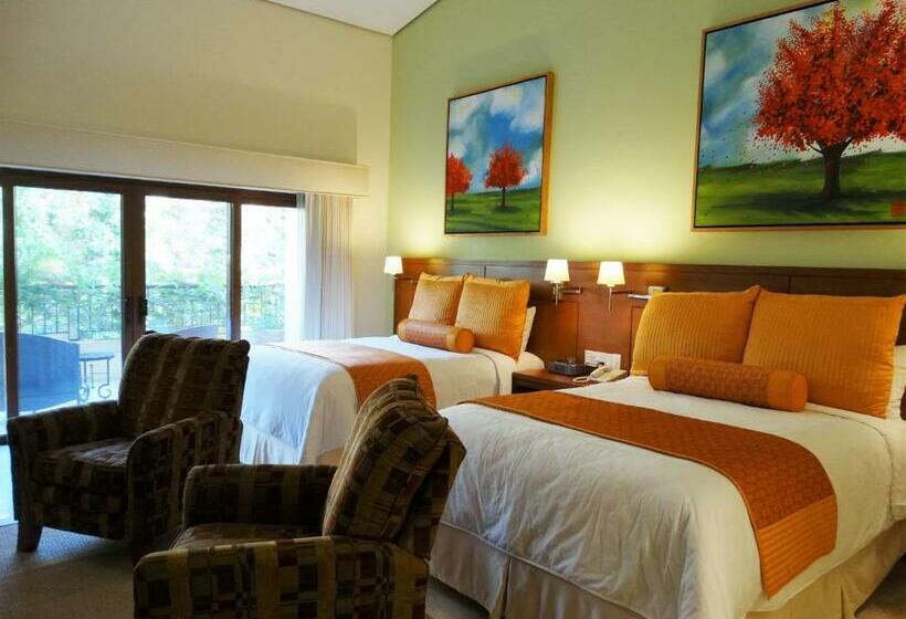 高级大房间, Santuario Diegueno