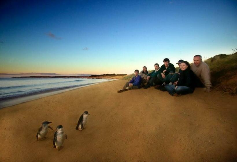 Люкс, The Island Accommodation