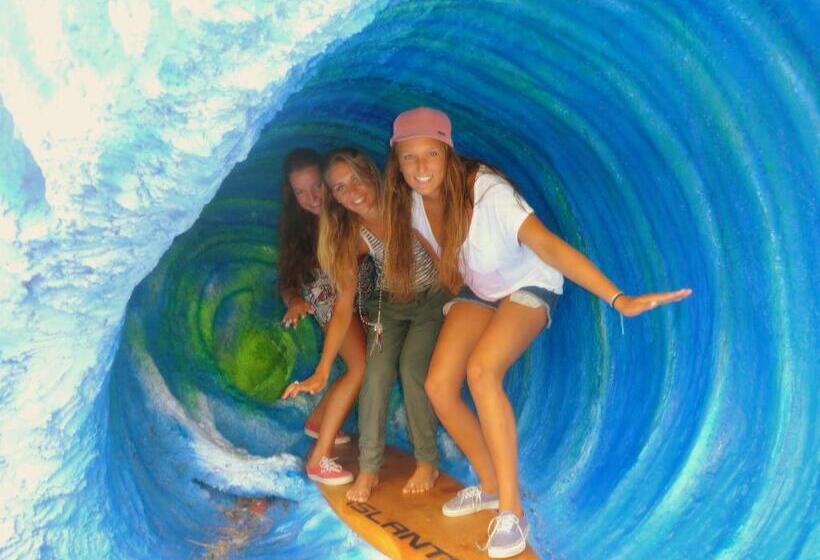 共用房间的床, The Island Accommodation