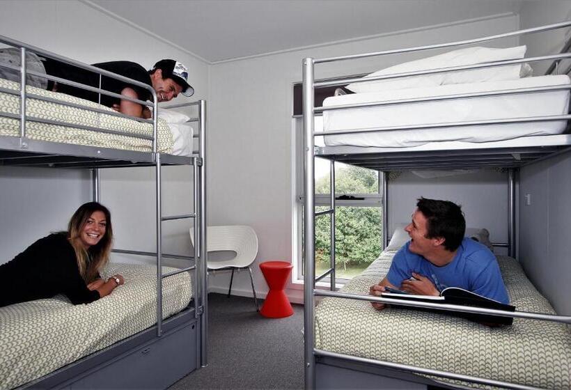 共用房间的床, The Island Accommodation