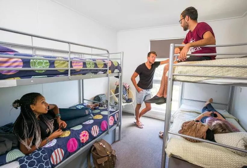 ルームシェアのワンベッド, The Island Accommodation