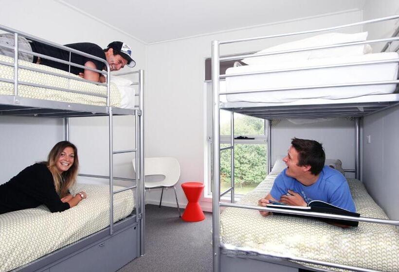 共用房间的床, The Island Accommodation