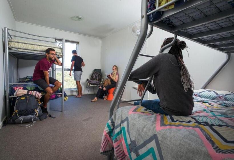 家庭间, The Island Accommodation