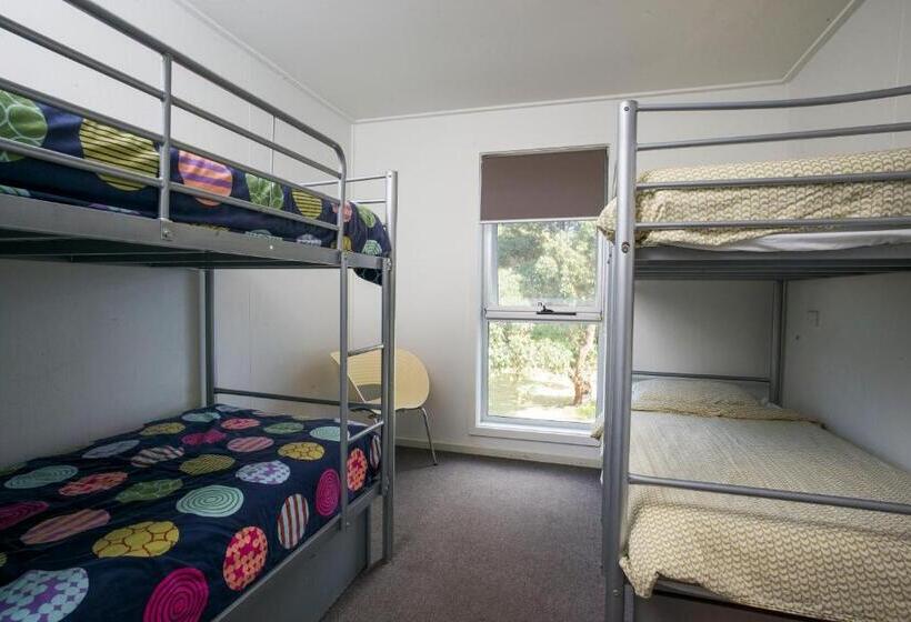 共用房间的床, The Island Accommodation