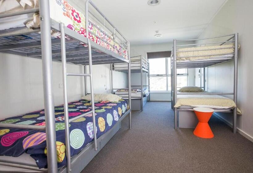 家庭间, The Island Accommodation