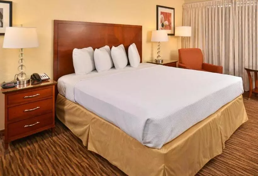Standard-huone King-vuode, Rodeway Inn