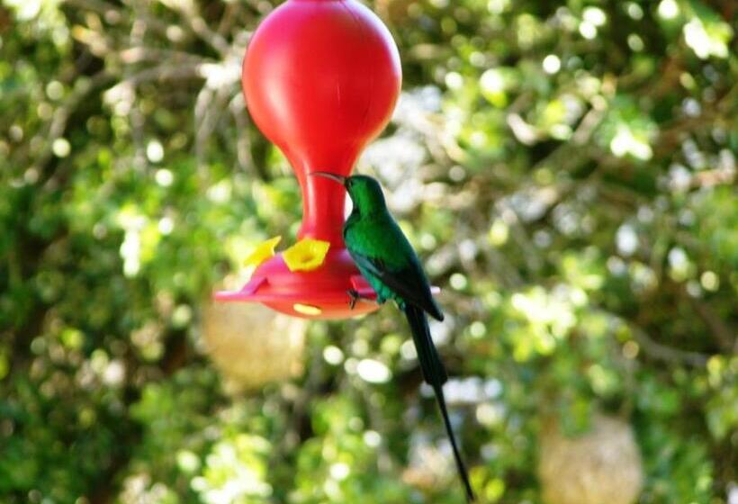 シングルデラックスルーム, Whale Watchers Inn