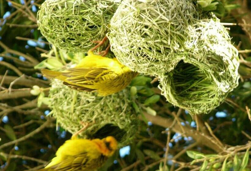 1ベッドルームアパートメント, Whale Watchers Inn