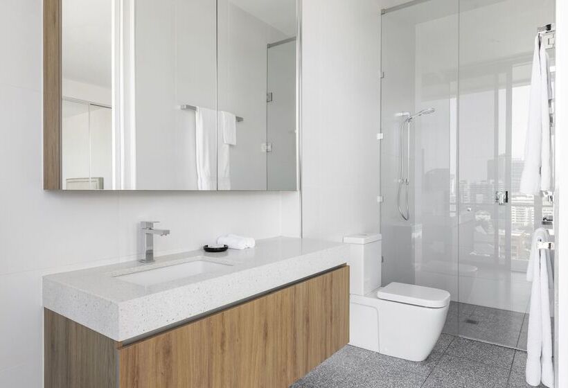 استودیوی استاندارد, The Johnson Brisbane   Art Series