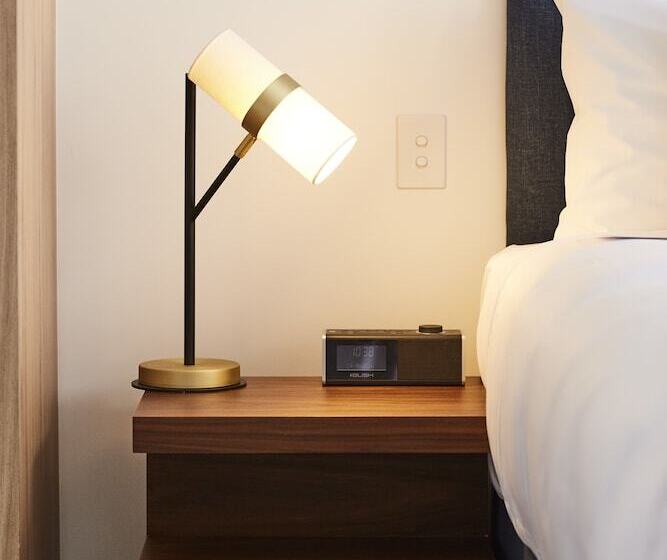 استودیوی استاندارد, The Johnson Brisbane   Art Series