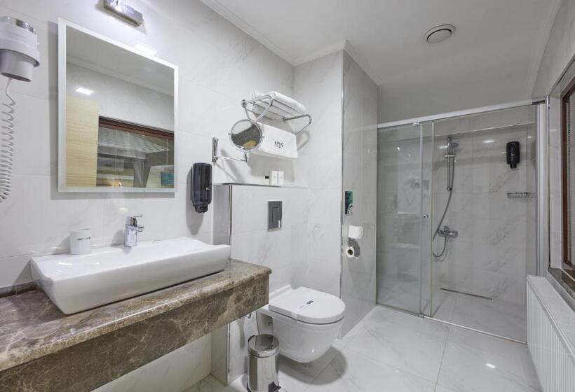 디럭스 트리플 룸, Arus