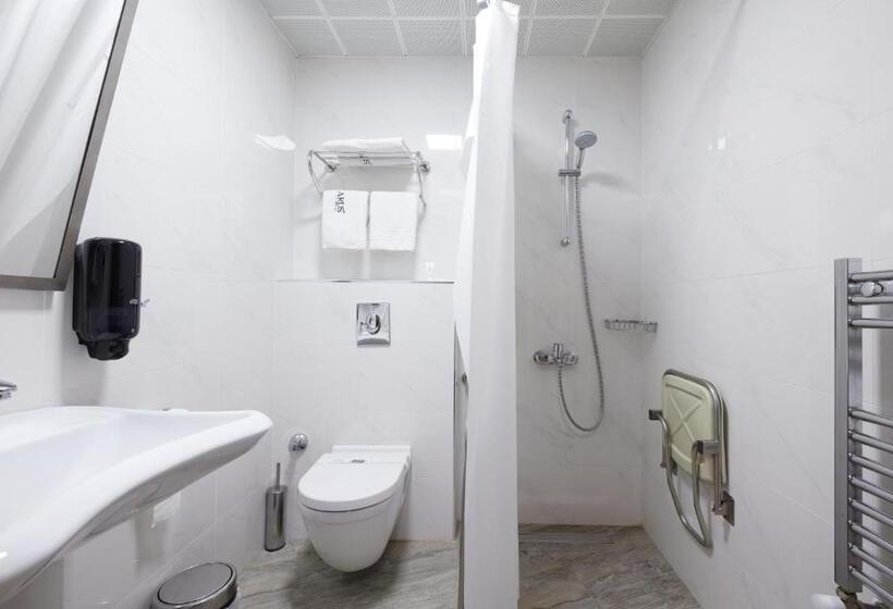 장애인을 위한 스탠다드 룸, Arus