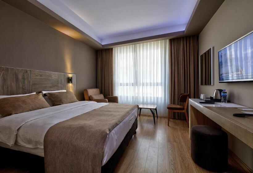 장애인을 위한 스탠다드 룸, Arus