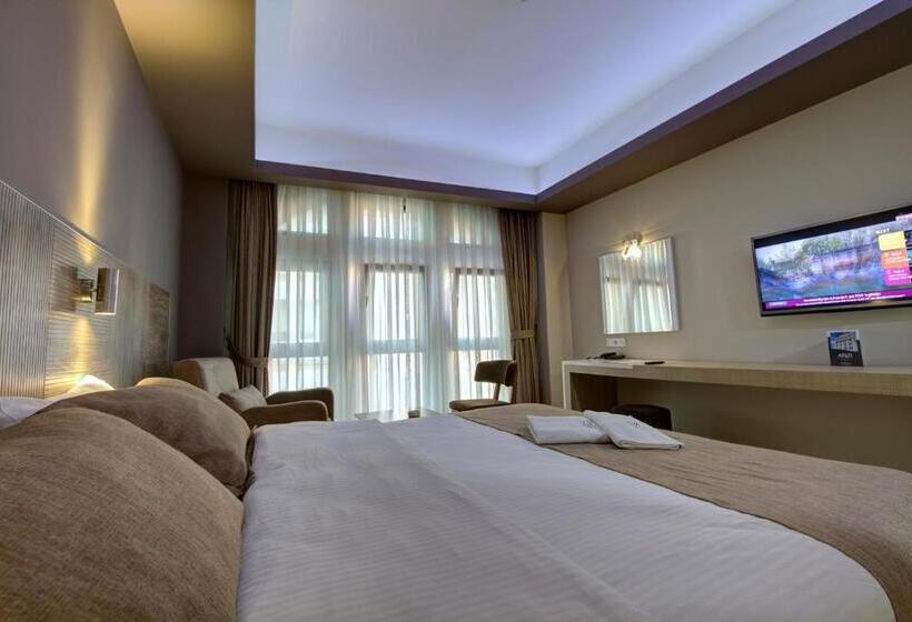 장애인을 위한 스탠다드 룸, Arus