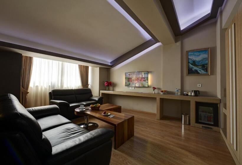 스탠다드 룸 킹사이즈 침대, Arus