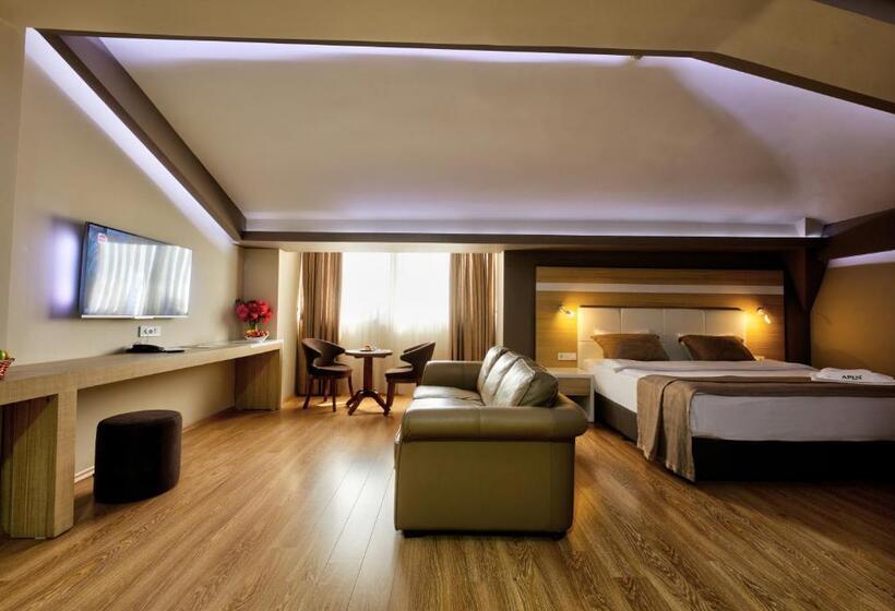 스탠다드 룸 킹사이즈 침대, Arus