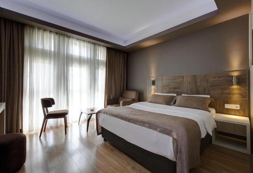 디럭스 트리플 룸, Arus