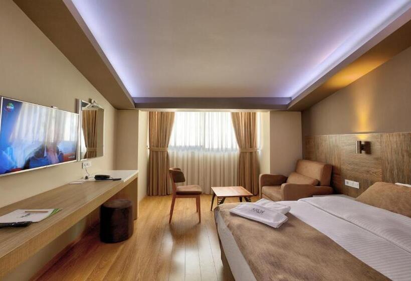 디럭스 트리플 룸, Arus