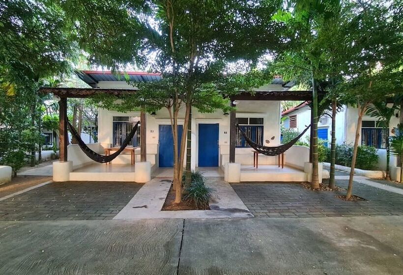 家庭间, Canary Guesthouse