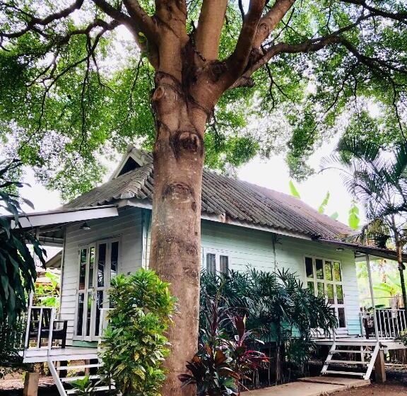 标准房带园景, Canary Guesthouse