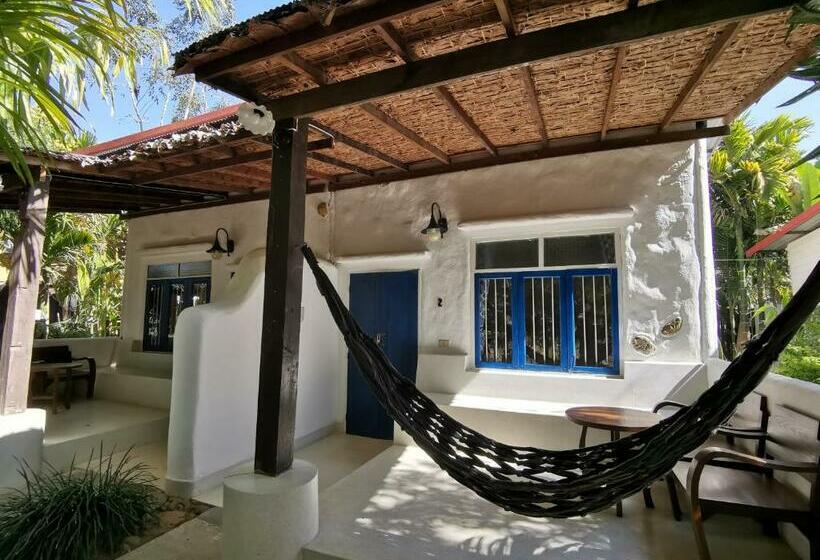 家庭间, Canary Guesthouse