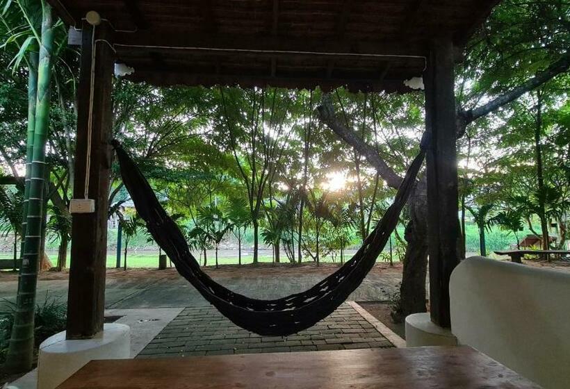 家庭间, Canary Guesthouse