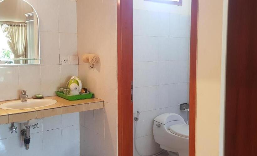 스탠다드 룸, Mylovina