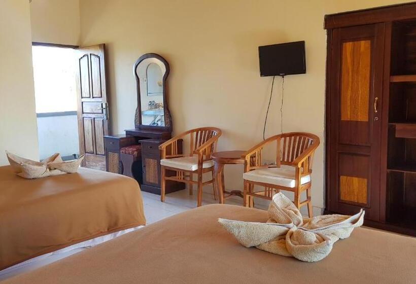 스탠다드 룸, Mylovina