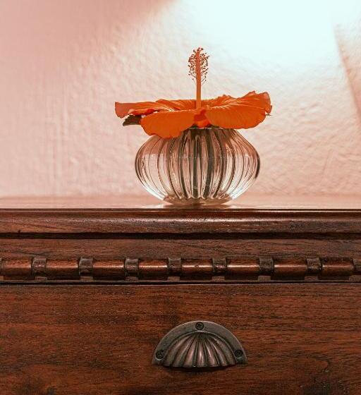 סוויטת ג'וניור, Rio Molas