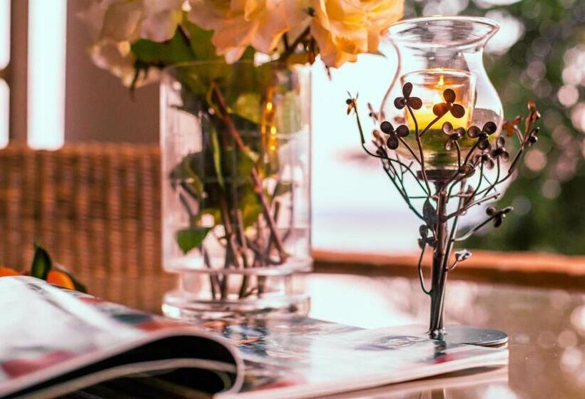 סוויטה, Rio Molas