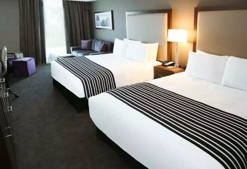 エクゼクティブルーム, Sandman Hotel Abbotsford Airport